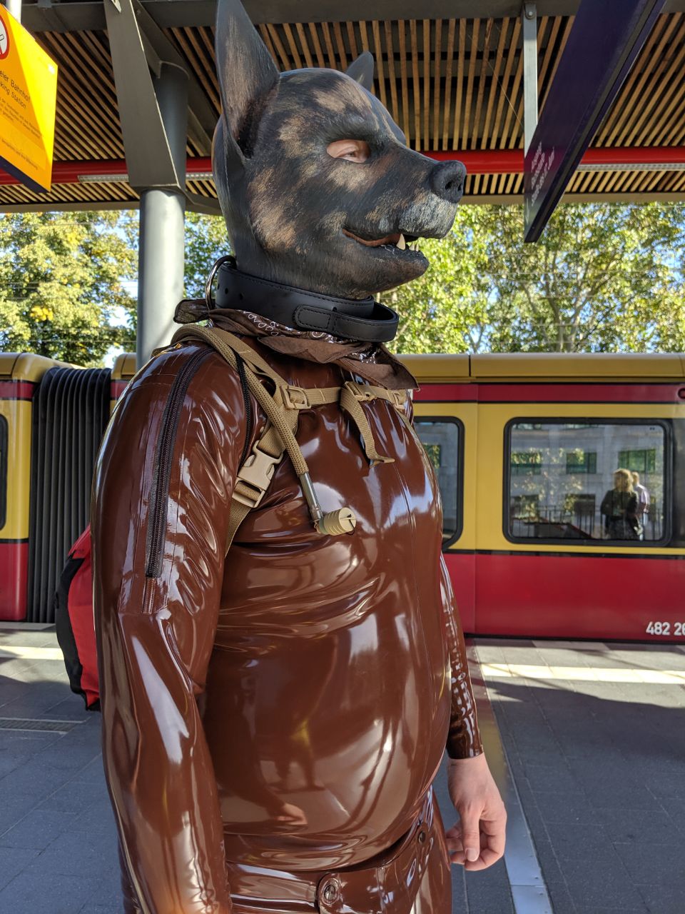photo_37@17-09-2019_01-51-55.jpg